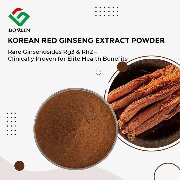 Korean Red Ginseng Extract Powder